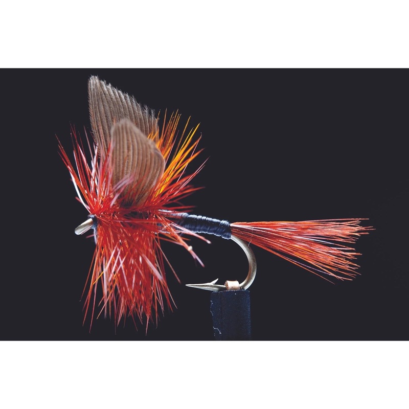 Twighlight Beauty Freshwater Fly