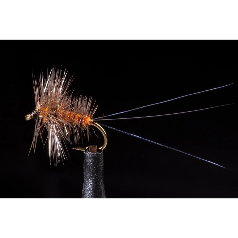 Palmered Spinner Orange Freshwater Fly