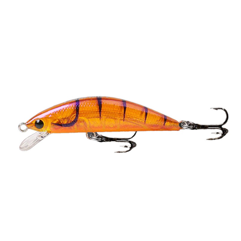 Fishcraft Fiesty 55 Minnow Hardbody Lure