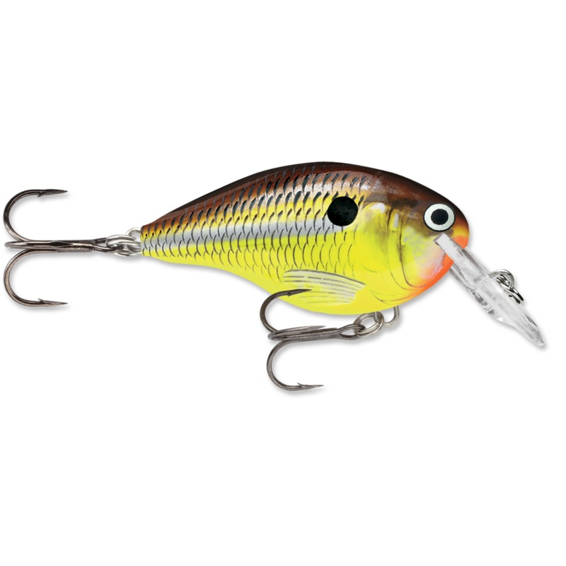 Rapala DT (Dives-To) Series Crankbaits