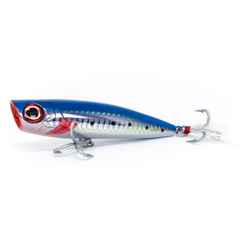 Dark Matter Fishaholic Pulsar Popper