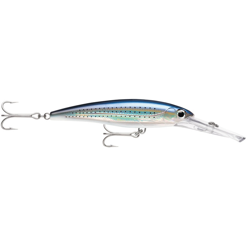 RAPALA X-RAP MAGNUM 15 SPOTTED MINNOW