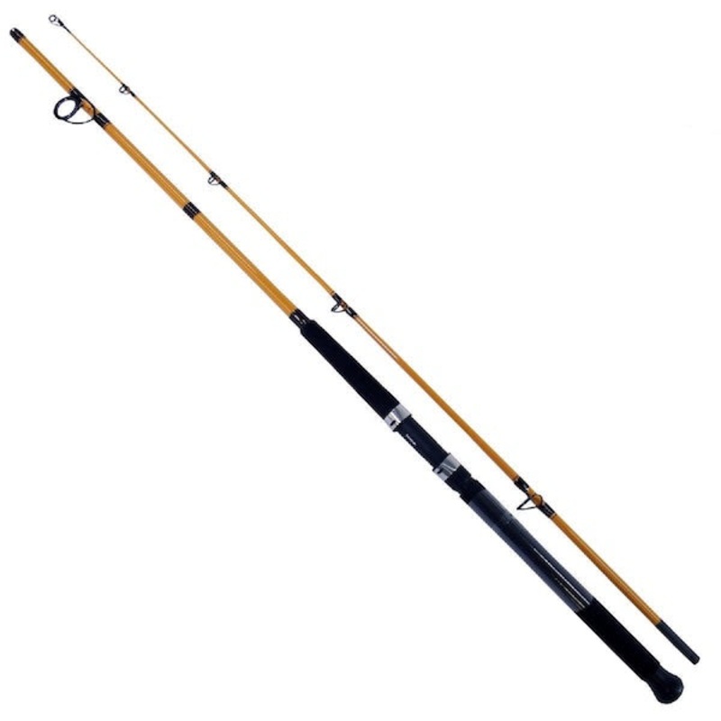 DAIWA ROD FT BOAT & SURF SPINNING ROD 2PC MFS 9'