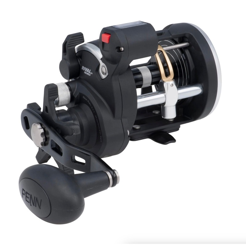 PENN RIVAL 20 LEVEL WIND CONVENTIONAL LINE COUNTER BAITCAST REEL