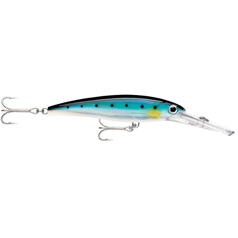 RAPALA X-RAP MAGNUM 20 SARDINE