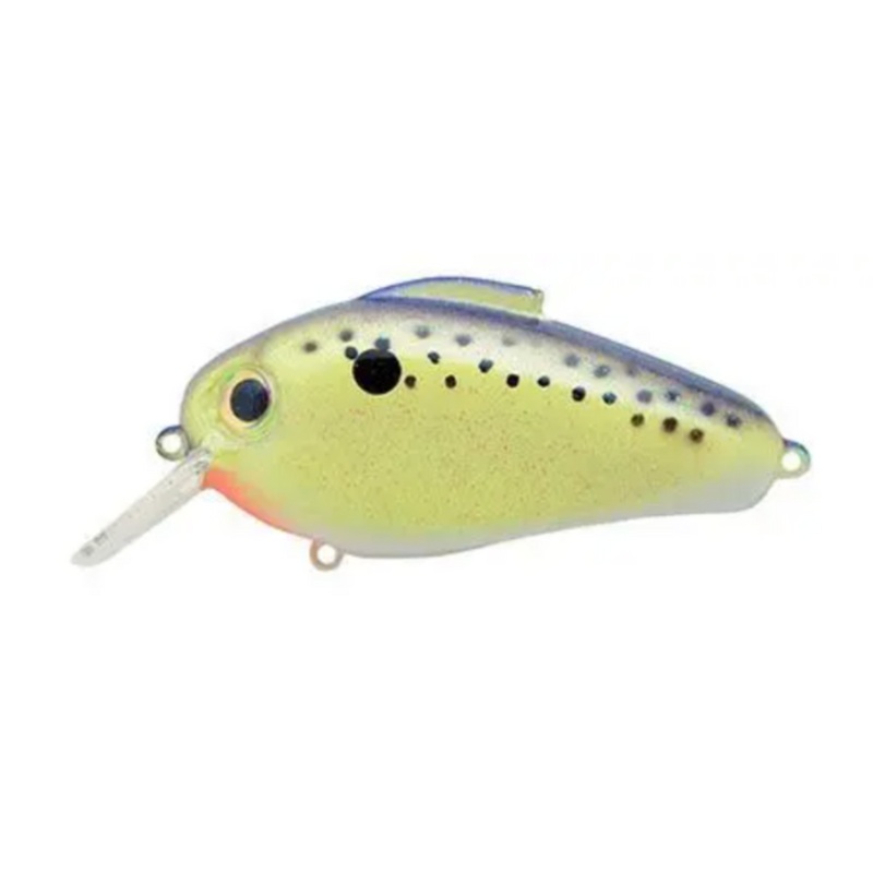 BILL LEWIS ECHO CELL MATE 1.75 5/8 OZ