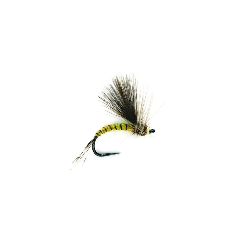 CDC OLIVE EMERGER BARBLESS