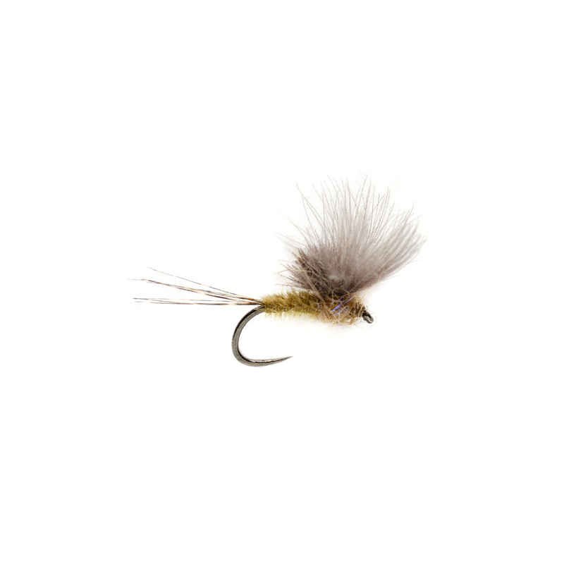 MCPHAIL CDC OLIVE BARBLESS