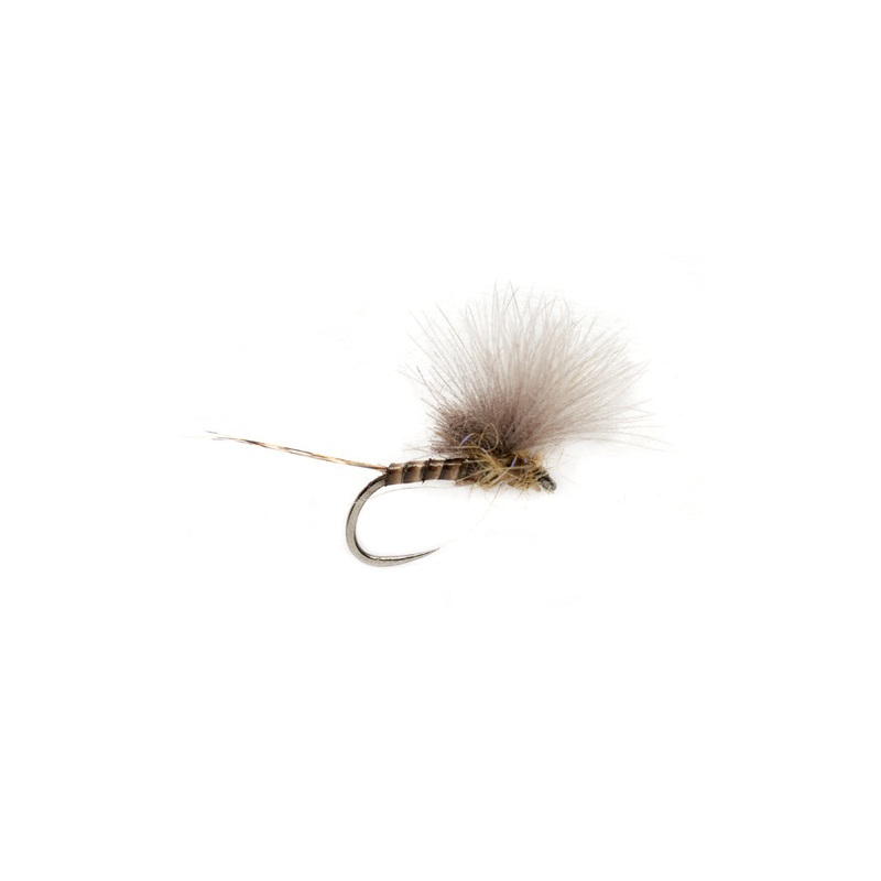 MCPHAIL CDC OLIVE QUILL BARBLESS