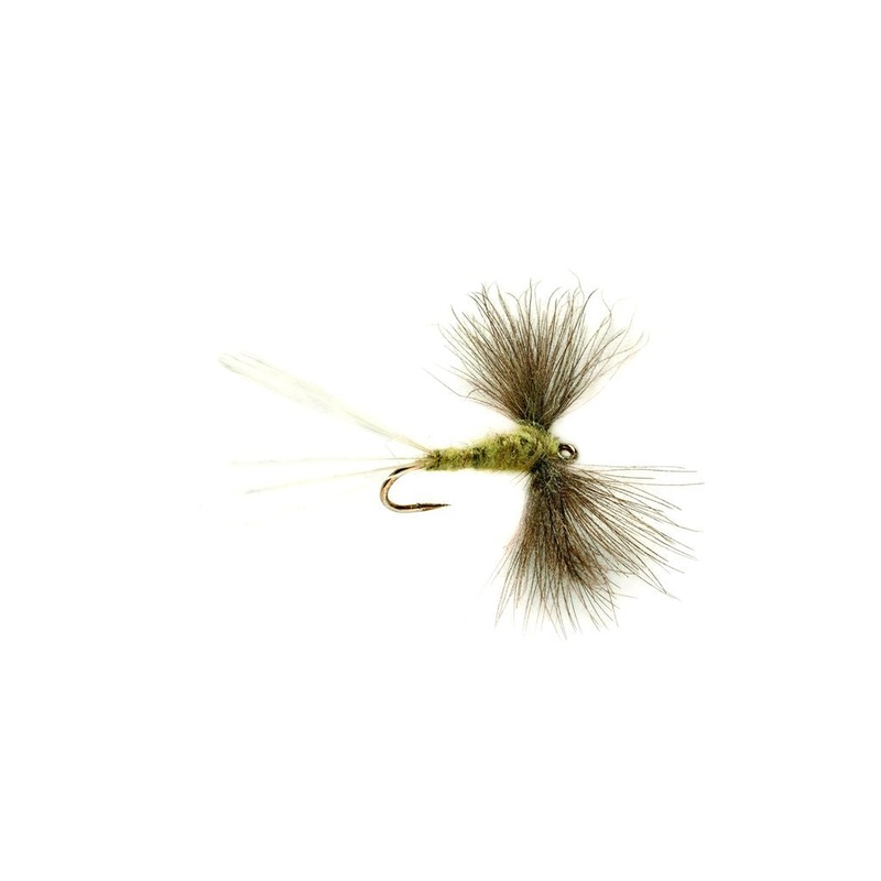 OLIVE SPINNER CDC