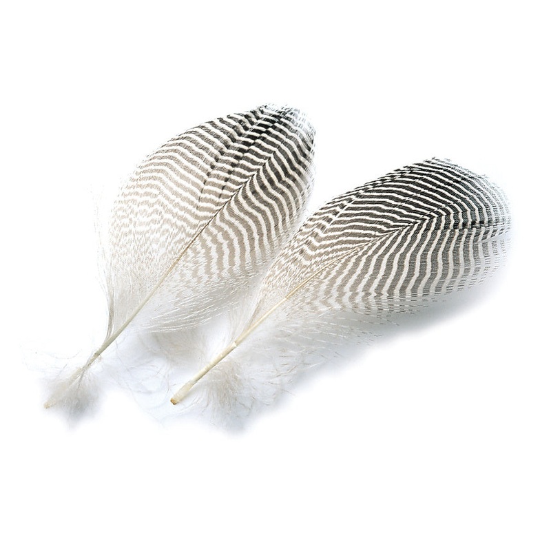 Veniard Teal Flank Feathers (2g)