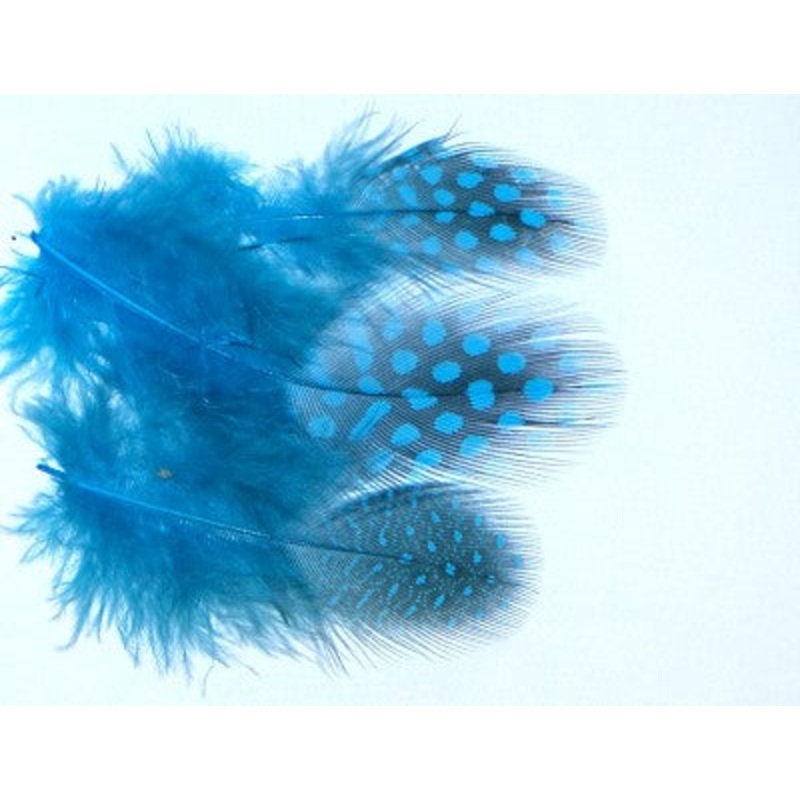 Veniard Guinea Fowl Selected Small Blue (Jay Subs)