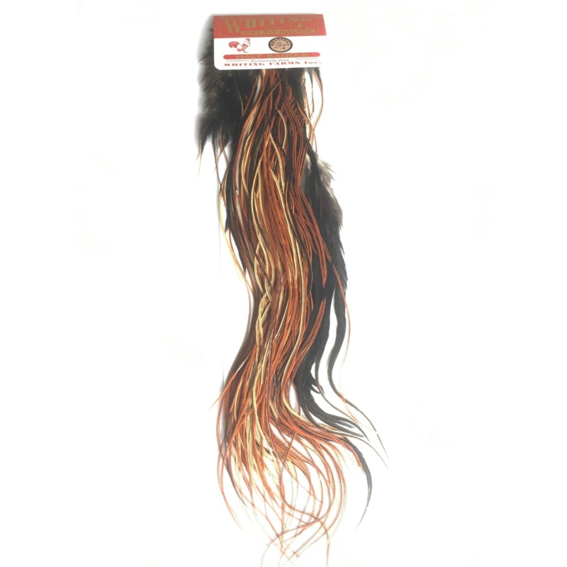 Whiting 1/2 Saddle Bronze