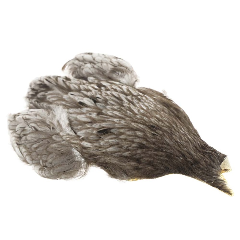 Whiting 4B Hen Cape