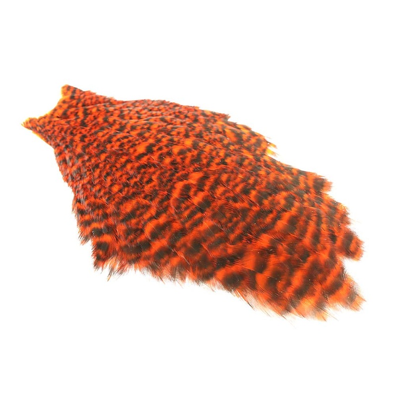 Whiting American Hen Cape