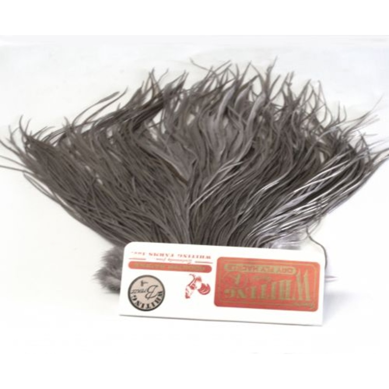 Whiting Bronze Grade Saddle