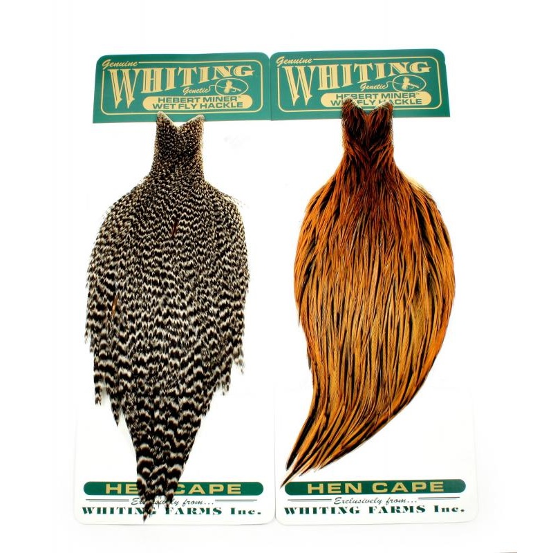 Whiting Herbert Miner Hen Cape