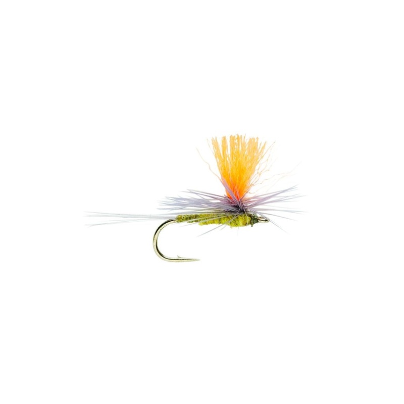 BLUE WINGED OLIVE PARACHUTE SPOT ON