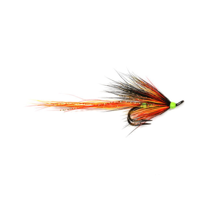 Cascade Olive Willie Gunn
