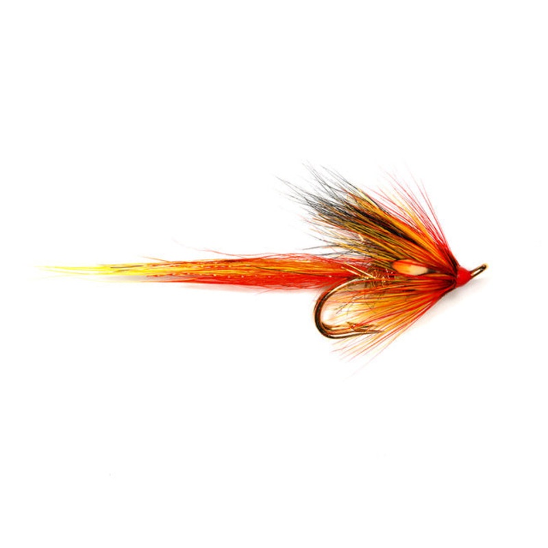 Park Shrimp
