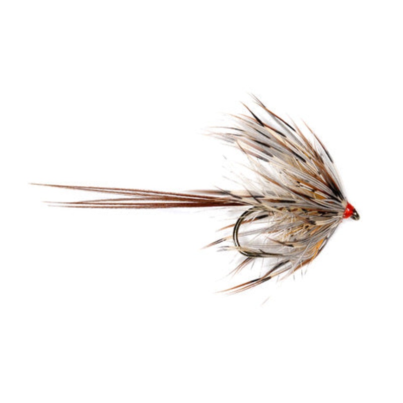 Corrib Grey May
