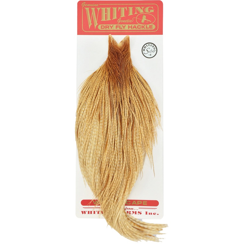 Whiting Bronze Cape