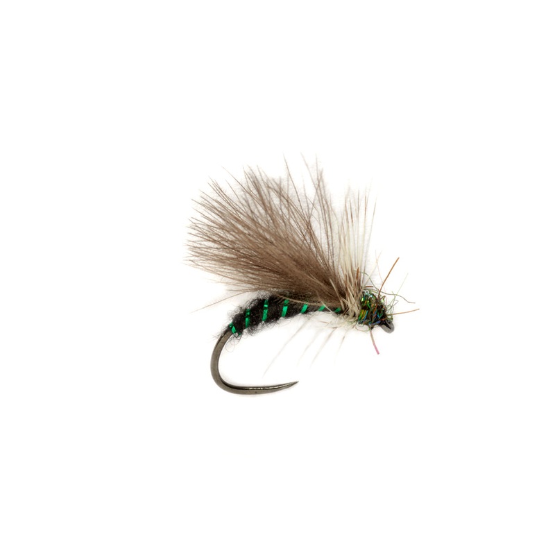 PROCTER'S CDC APT BARBLESS