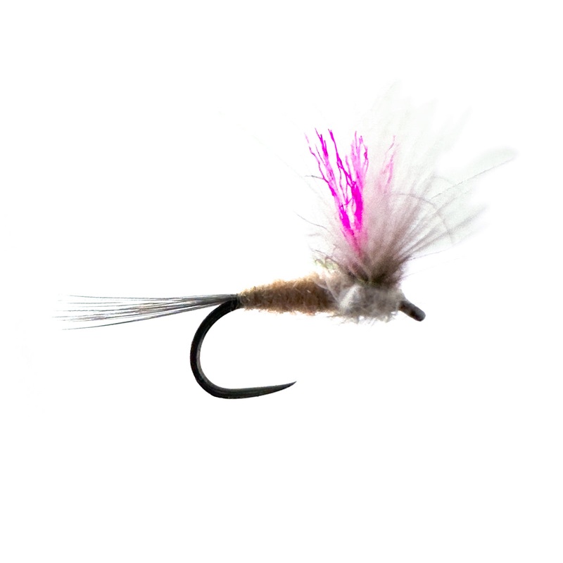 SPANISH DUN - BAETIS PINK