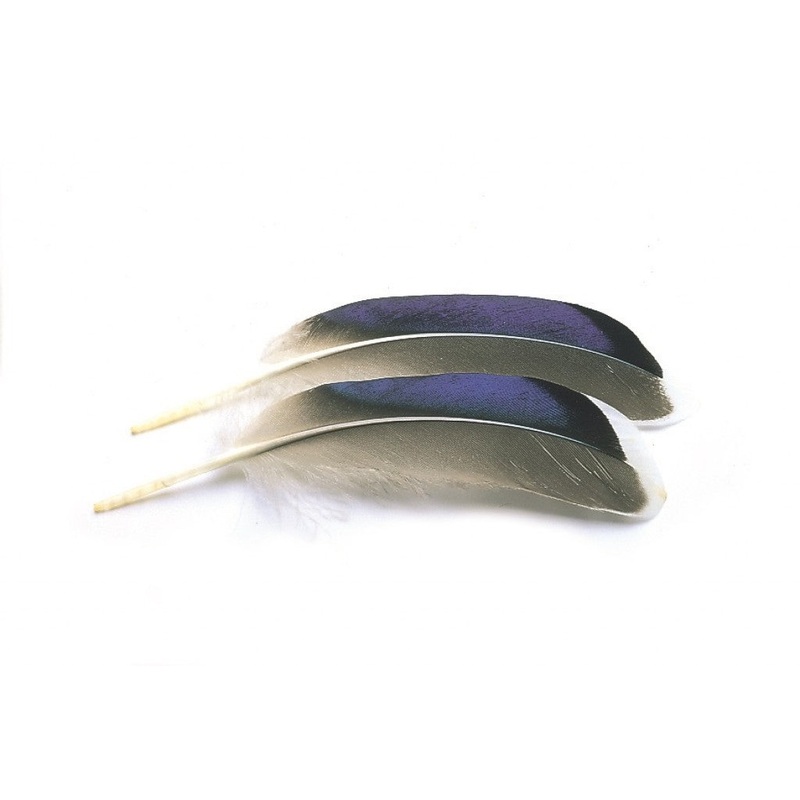 Veniard Mallard Duck wing quills blue/white tip