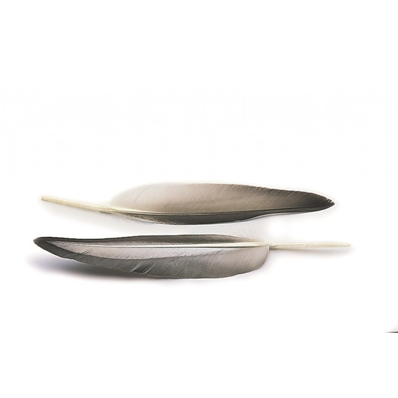 Veniard Mallard Duck wing quills grey