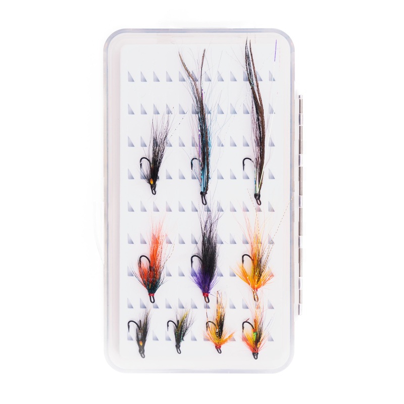 SUMMER SALMON DOUBLE SELECTION