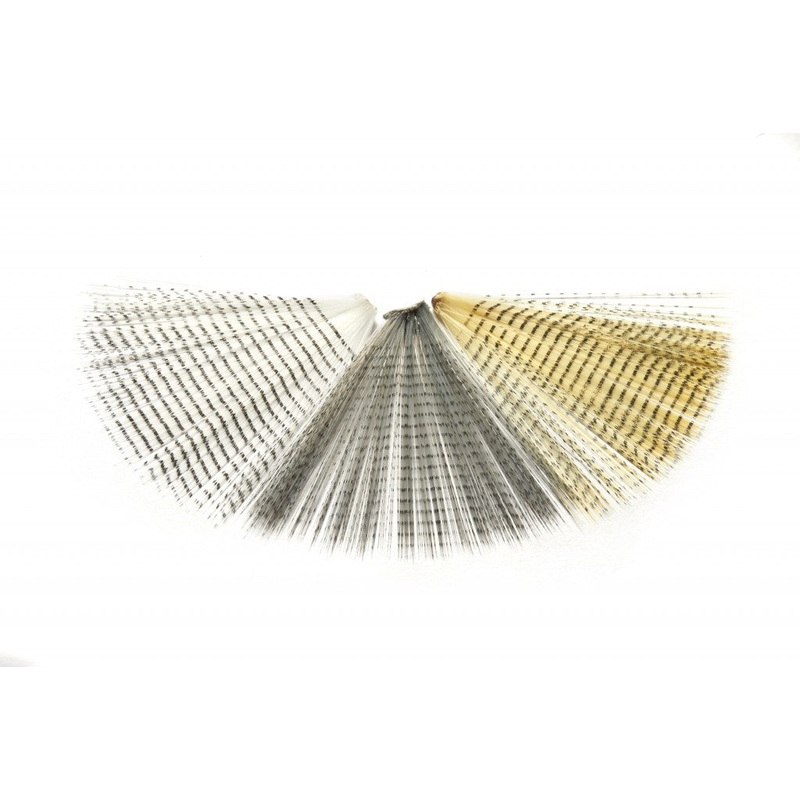 Veniard Barred Tail Fibbets