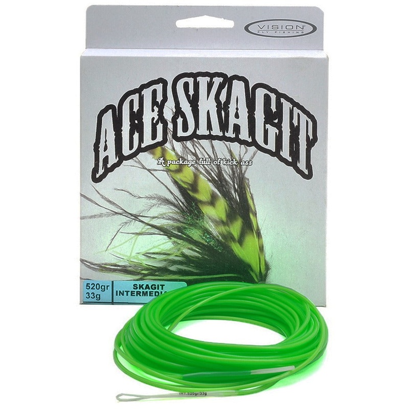 Vision ACE Skagit