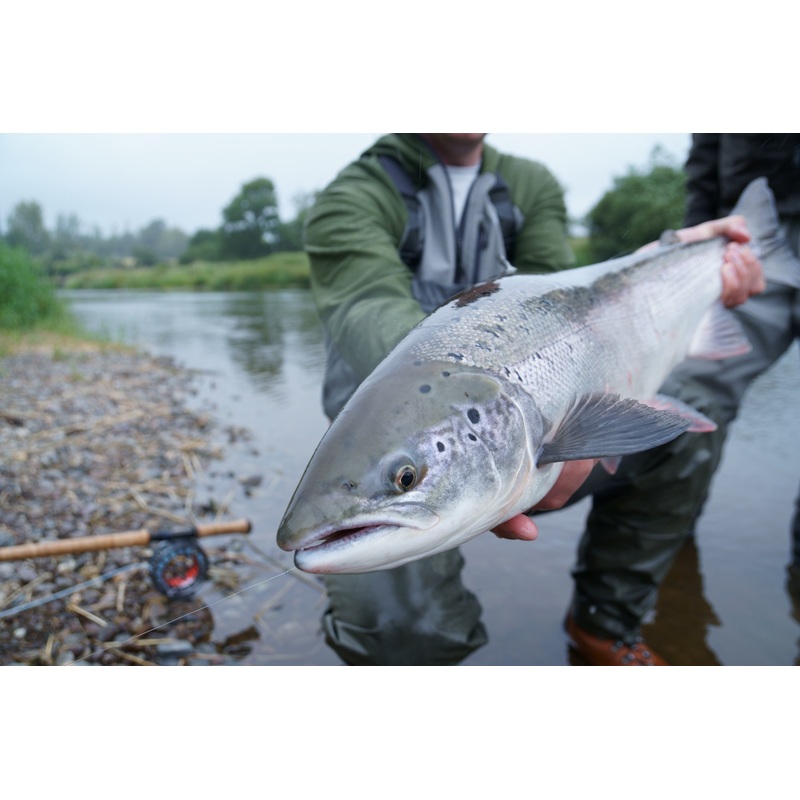 1 Day Spey Casting & Salmon Course 2025