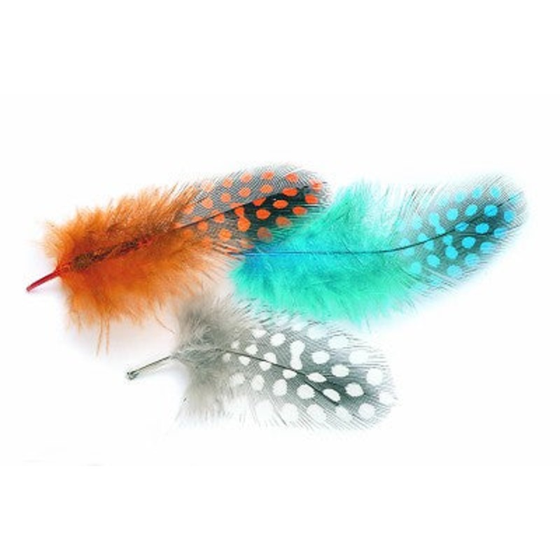 Veniard Guinea Fowl Plumage Hackles