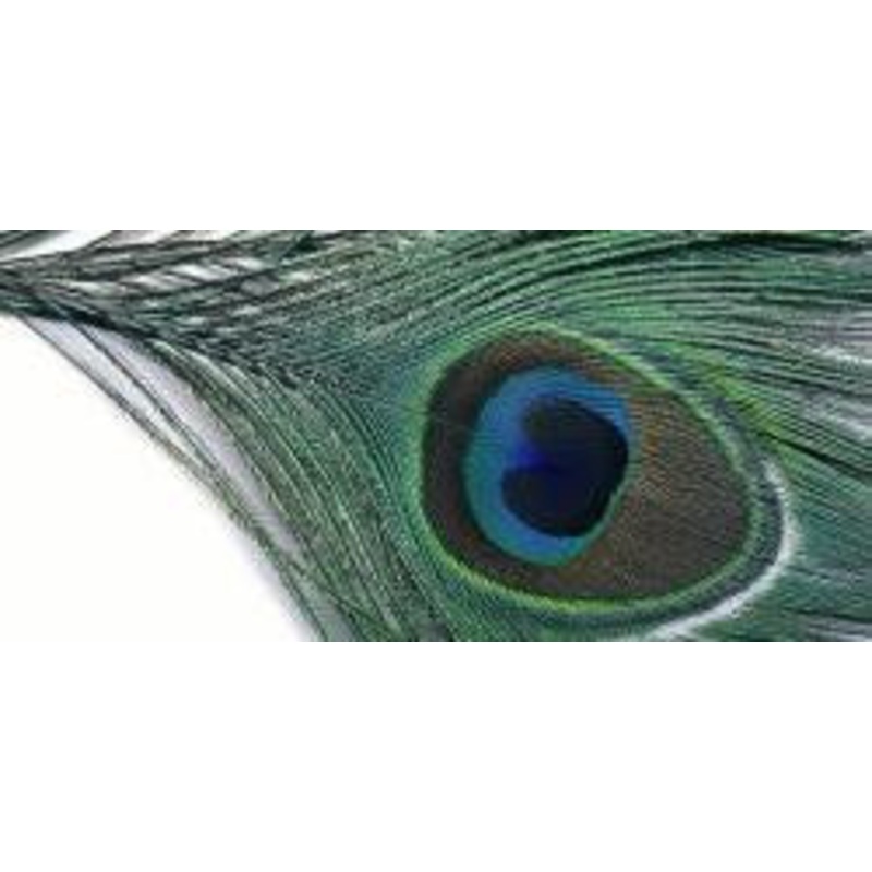 Veniard Peacock Eye Tops