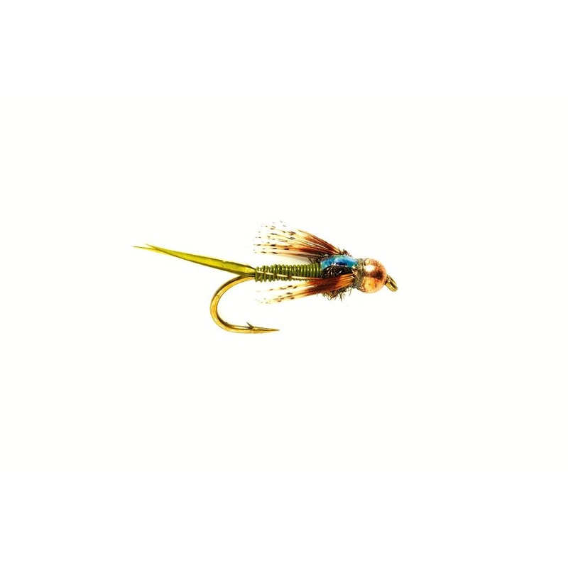 COPPER JOHN OLIVE