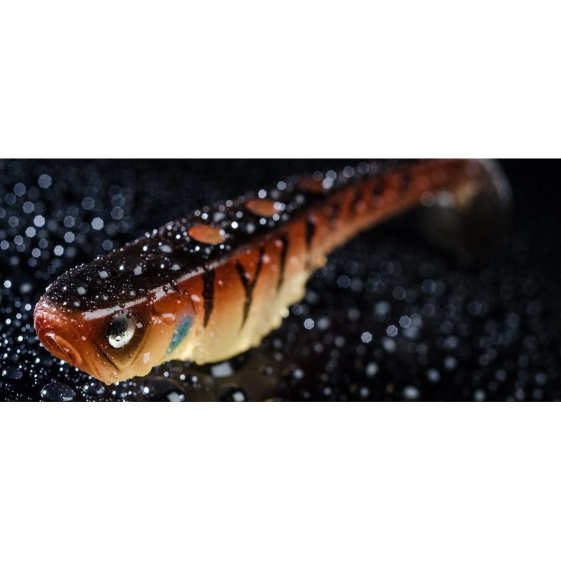 Molix Vis Shad 9.5cm