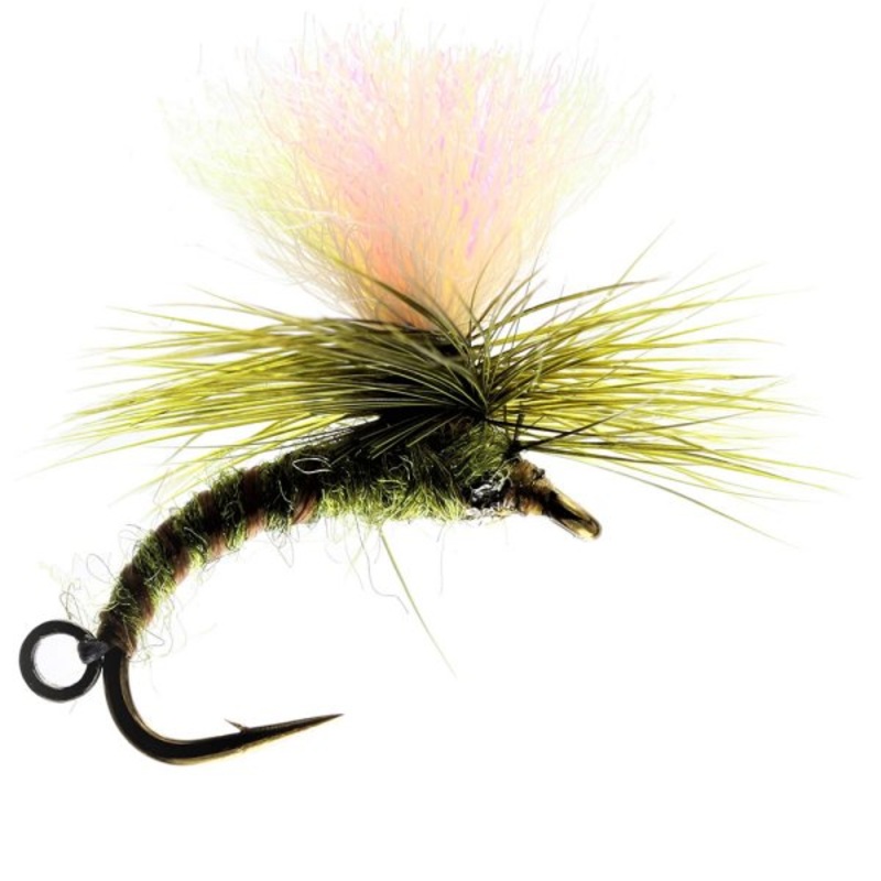 Olive Klink & Dink Barbless