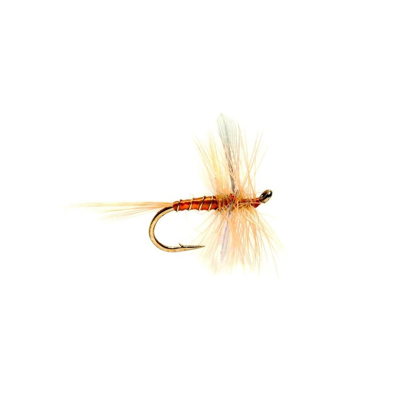 SHERRY SPINNER