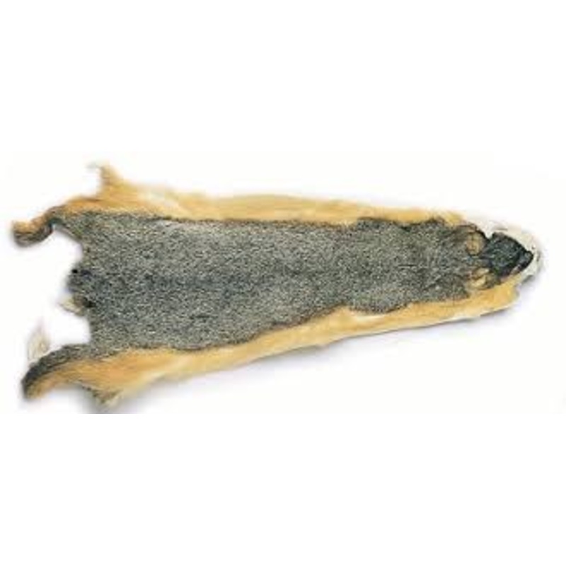 Veniard Fox Squirrel