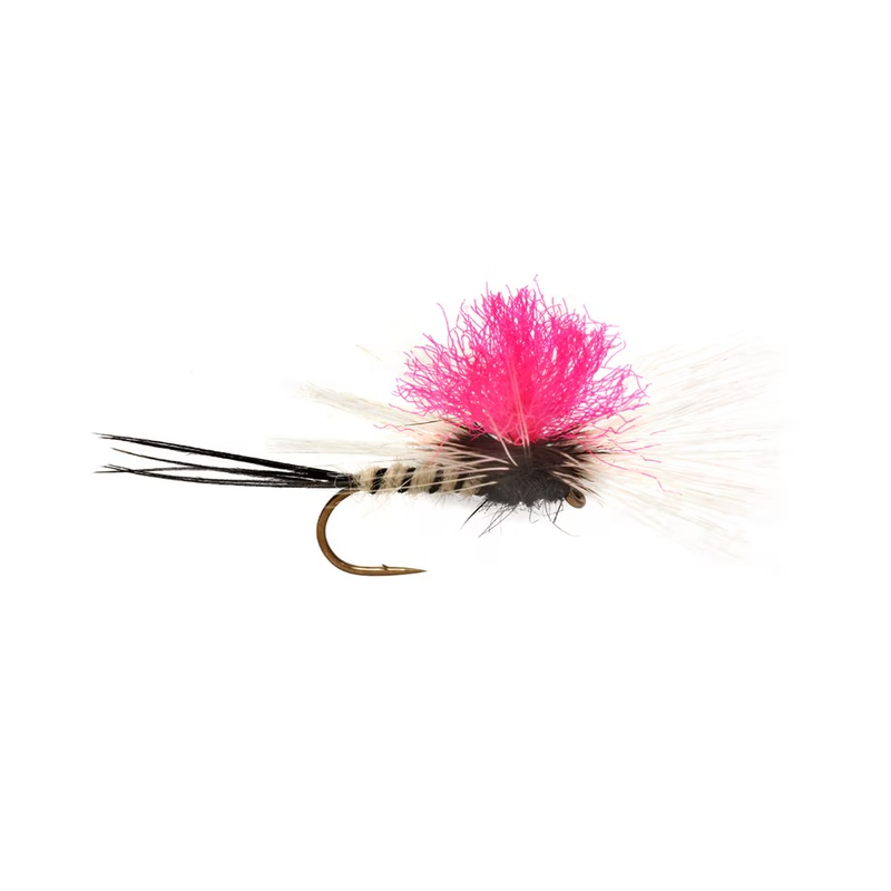 JACKIE'S SPENT PINK PARA MAY
