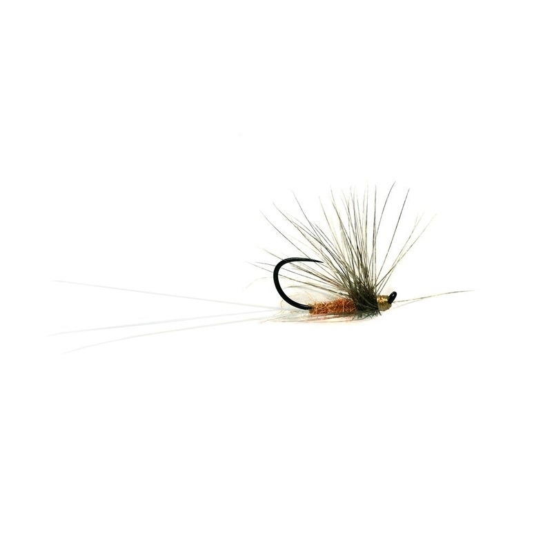 SHERRY SPINNER (LAPSLEY) BARBLESS