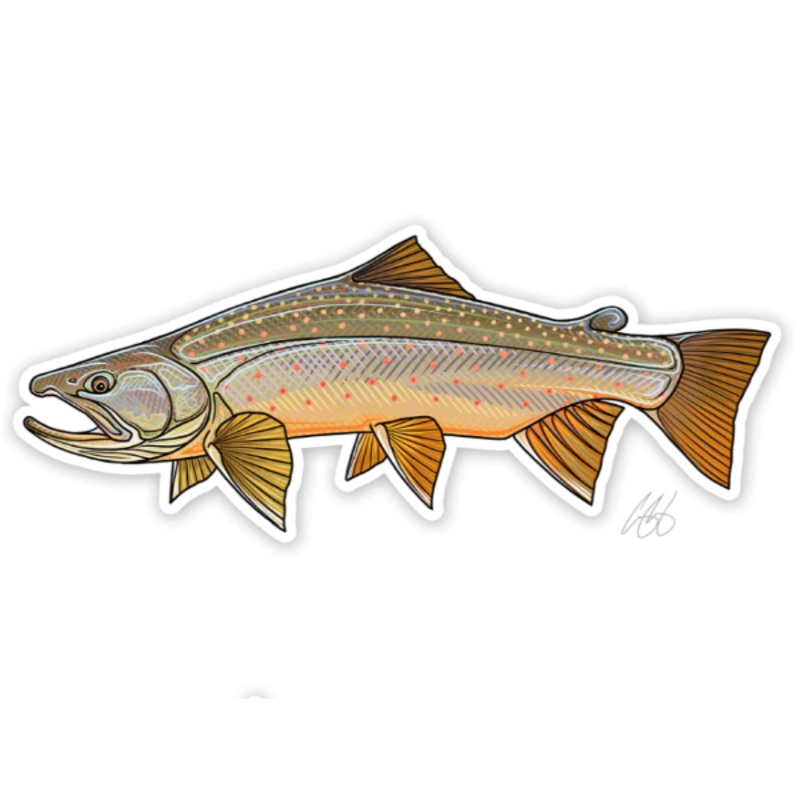 Casey Underwood Bull Trout Decal