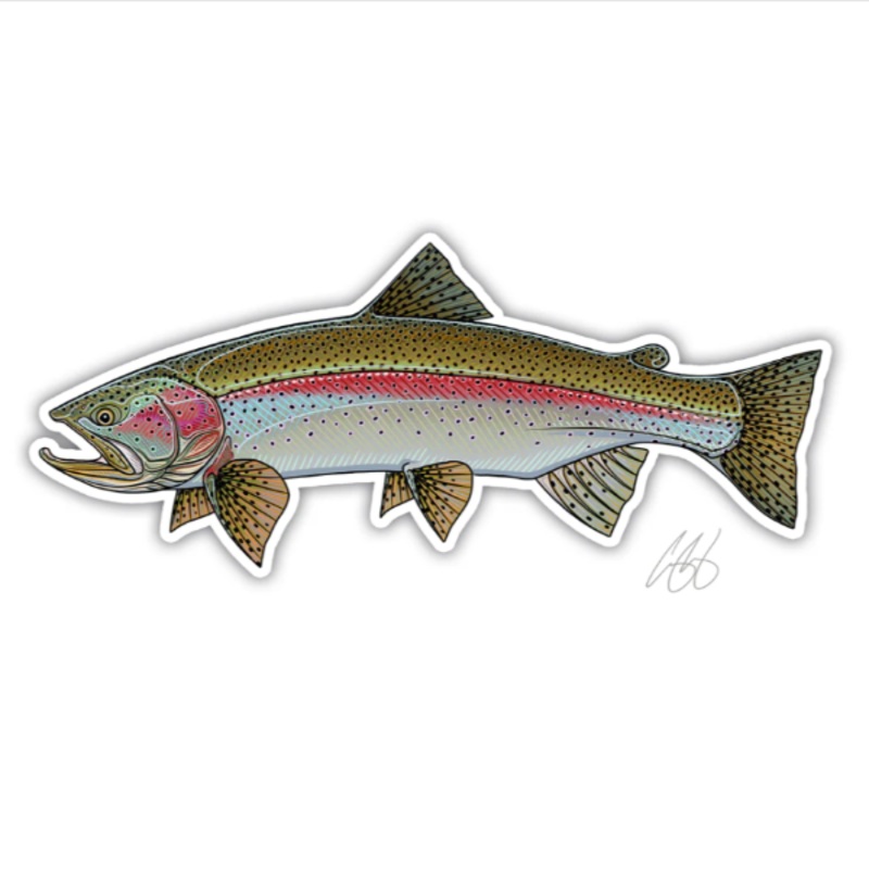 Casey Underwood Rainbow Trout Decal