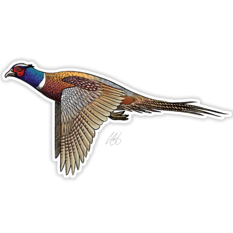 Casey Underwood Ringneck Pheasant Decal