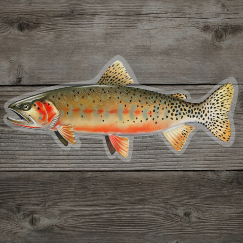 Rep Your Water Sticker Cuttie