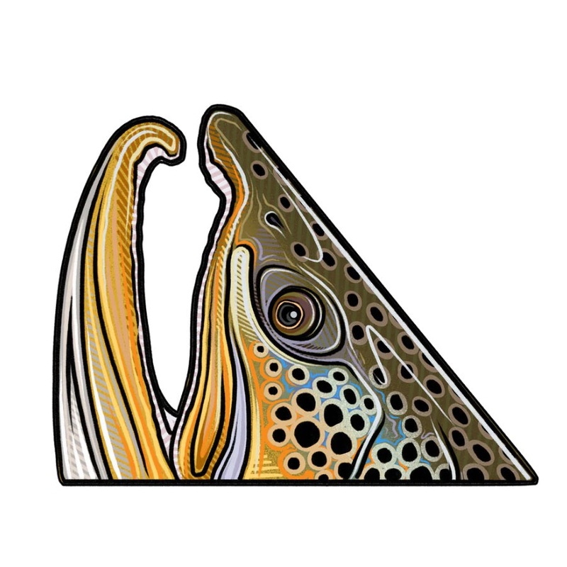 Casey Underwood Brown Trout Rise Decal