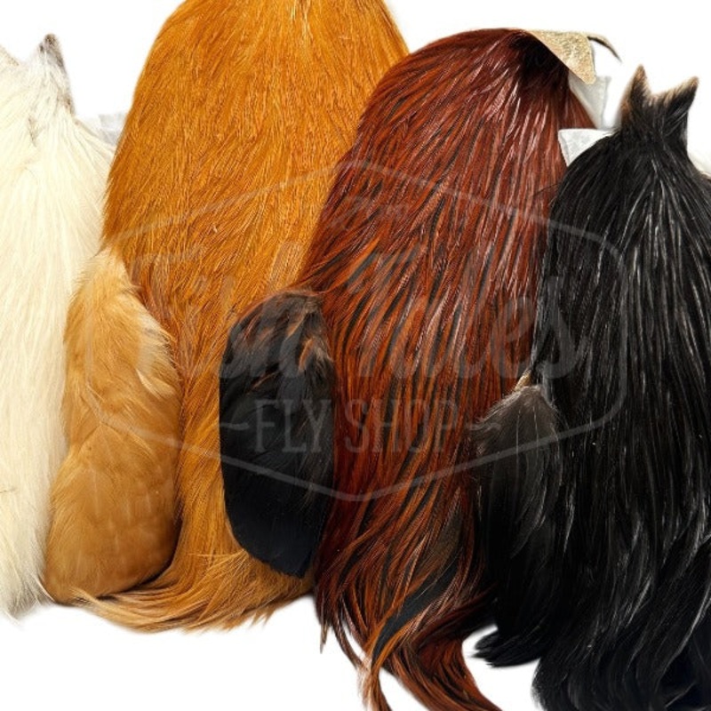 Whiting Farms 4B Rooster Cape