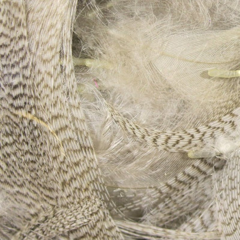 Wapsi Barred Mallard Flank Large Select Feathers